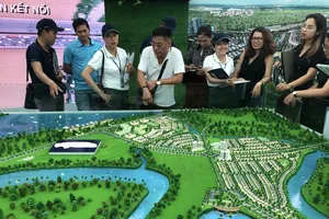 Gần 9.000 hồ sơ đất đai tắc từ 1-8, Cục Thuế TP.HCM kiến nghị sớm hướng dẫn