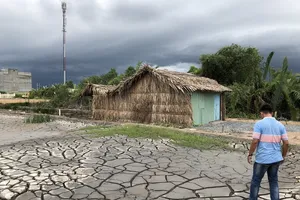 Gần 9.000 hồ sơ đất đai bị tắc: Cục Thuế TP.HCM kiến nghị áp dụng bảng giá đất hiện hành