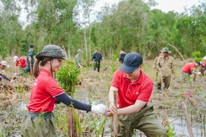 Chung sức trồng 1 tỉ cây xanh 