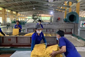 'Vàng trắng' thắng lớn nhờ... ô tô điện