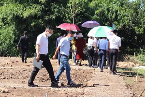 Thị trường đất nền cuối năm: Hiếm hoi cơ hội giữa biến động