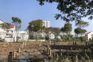 Nhà Bè kiến nghị gỡ vướng cho chủ đầu tư dự án nhà ở 'trùm mền' 20 năm