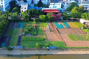 Giảm 70% tiền sử dụng đất: Gỡ gánh nặng, mở ra cơ hội an cư