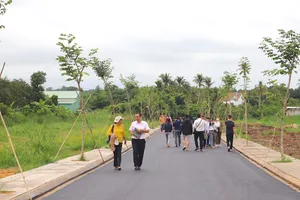 Đất nền vùng ven ăn theo sáp nhập: Cảnh báo vỡ 'bong bóng'