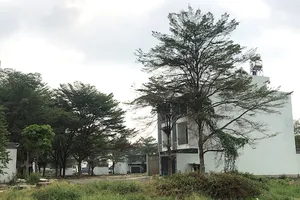 Giảm tiền sử dụng đất để người dân không còn lo gánh nặng 'sổ hồng'