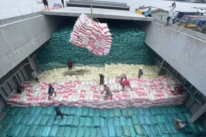 Khi gạo Việt Nam soán ngôi Thái Lan, vươn lên ngôi 'á quân thế giới'