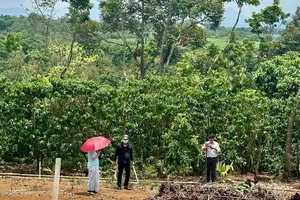 Gỡ gánh nặng chi phí lên thổ cư: Kiến nghị chỉ thu 20%, hoàn tiền đã nộp