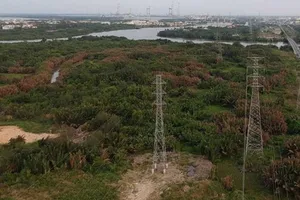 Vụ Phước Kiển: Ông Tất Thành Cang bị yêu cầu kiểm điểm