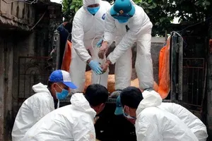 TP.HCM ngưng mua heo từ các tỉnh phía Bắc 