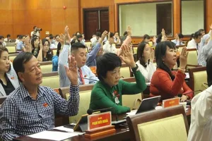 TP.HCM tiếp tục hỗ trợ giáo viên mầm non mới ra trường