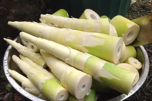 Độc tố trong măng tươi và những điều cần biết