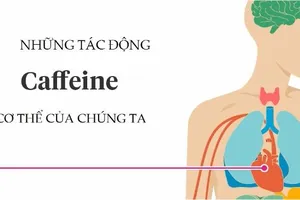 Caffeine ảnh hưởng đến cơ thể chúng ta thế nào?