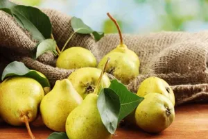 Tin vui cho người thích ăn lê