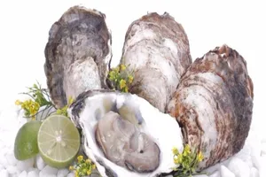 Ăn hàu sống mùa nắng nóng, hãy lưu ý những điều sau