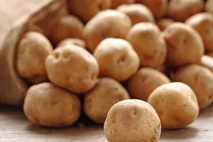 Vì sao không nên để khoai tây trong tủ lạnh?