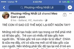 Sữa mẹ chữa được bách bệnh, đúng hay sai?