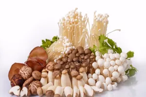 Ngộ độc nấm: Xử trí như thế nào?