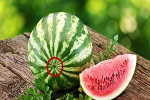 Mẹo chọn dưa hấu cực ngon trong mùa hè