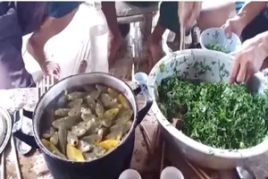 Ăn gỏi cá sống: món ăn mang nhiều hiểm họa