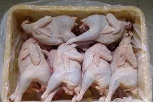 Gà không đầu, không chân siêu rẻ 40.000 đồng bán đầy vỉa hè