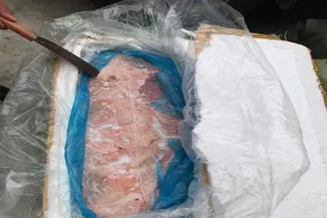 Nguy cơ mất an toàn thực phẩm từ nầm heo không rõ nguồn gốc