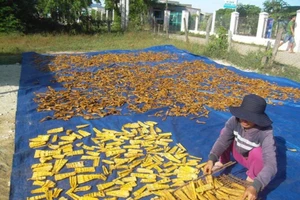 Cách chọn măng khô an toàn cho Tết nguyên đán