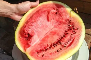 Mẹo tránh chọn dưa hấu chứa nitrat ngày Xuân