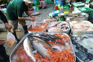 Ngày tiễn ông Táo về trời: Nhiều mặt hàng 'đắt như tôm tươi'