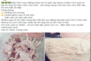 Thịt cóc có phải 'thần dược' cho trẻ còi xương?