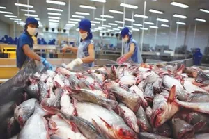 Nhiều 'ngôi sao mới nổi' của thị trường cá tra Việt