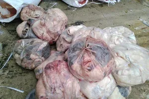 Yếu tố nào quyết định chất lượng nội tạng động vật?