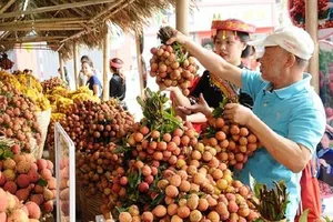 Những thời điểm nào không nên ăn vải thiều?