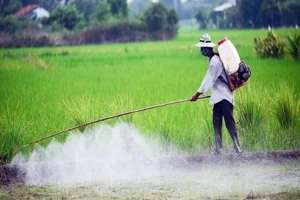 Hiểm họa thực phẩm bị tồn dư thuốc bảo vệ thực vật