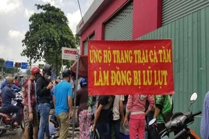 Cận cảnh giải cứu cá tầm 'chạy lũ' ở vỉa hè TP.HCM