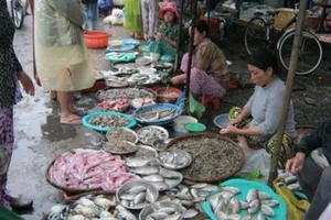 Cẩn trọng trong ăn uống để không đổ bệnh vì mưa lũ