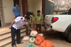 Mỡ heo bốc mùi vẫn bị mang đi bán kiếm lời