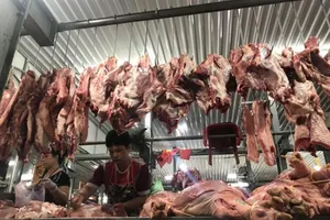 TP.HCM: Chưa phát hiện thịt heo bị dịch tả châu Phi vào chợ