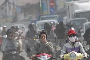 Chống bụi mịn từ thực phẩm hằng ngày