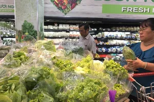 Vì sao ăn rau sống dễ bị lây nhiễm vi khuẩn E.coli?