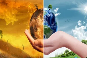 Làm sao để giảm thiểu trình trạng biến đổi khí hậu?