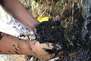 Nước nhiễm dầu nguy hại đến sức khỏe ra sao?