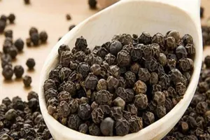 Myanmar sung công quỹ một số lô hồ tiêu Việt 