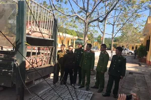 Hiểm họa thịt heo nhập lậu vào Việt Nam