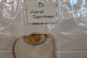 Vi khuẩn trên tay chưa rửa sạch sẽ làm hỏng đồ ăn ra sao?