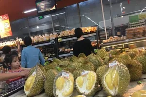 Nhận biết sầu riêng chín cây và sầu riêng nhúng thuốc