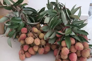 Những lưu ý quan trọng khi ăn quả vải