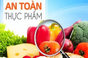 Thông tin mới về nơi cấp giấy chứng nhận an toàn thực phẩm