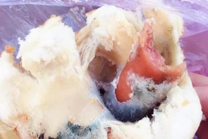 Ăn bánh mì bị mốc thì ảnh hưởng gì đến sức khỏe? 
