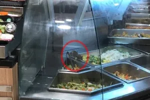 Nhiều mầm bệnh nguy hiểm gieo rắc từ chuột