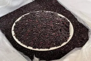 Ăn gạo lứt kiểu này dễ bị nhiễm thuốc bảo vệ thực vật